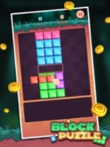 Block Puzzle™ Image