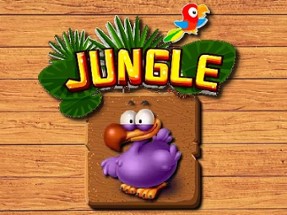 Jungle Matching Image