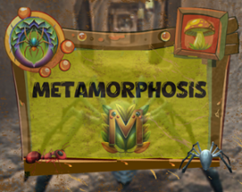 Metamorphosis Image