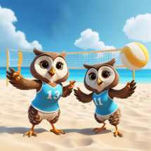 Owl Beach Volleyball Image