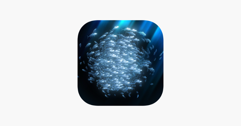 School of fish AR Game Cover