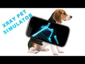 Simulator X-Ray Pet Image
