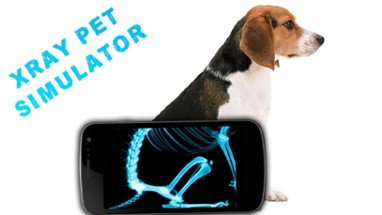 Simulator X-Ray Pet Image