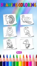 Bird Painting - Coloring Book and Drawing for Kids Image