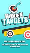Hidden Targets Image