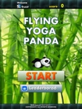 Flappy Yoga Panda Image