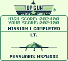 Top Gun: Guts and Glory Image