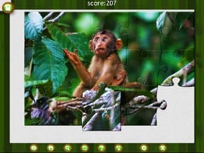 1001 Jigsaw. Wild Animals Image