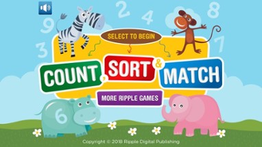 Count, Sort and Match Image