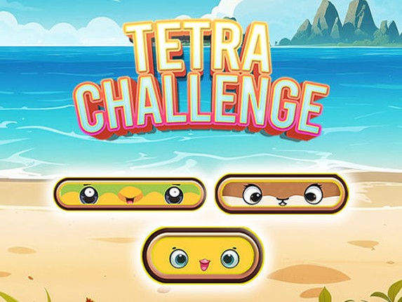 Tetra Challenge Game Cover