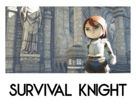 Survival Knight Image