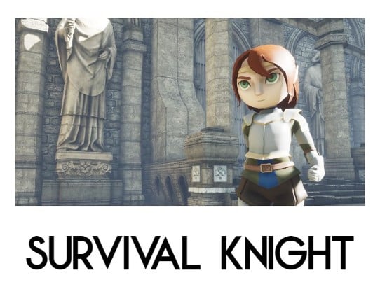 Survival Knight Game Cover