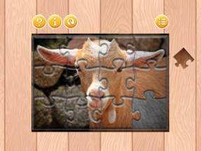 Animal Jigsaw Puzzle For kids and Adults Image