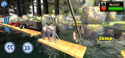 Animal Water Run-Safari Splash Image
