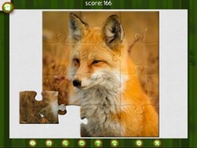 1001 Jigsaw. Wild Animals Image