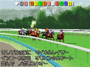Derby Stallion DS Image
