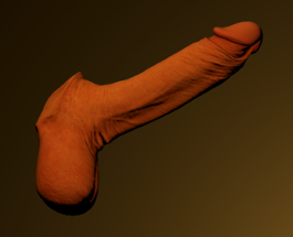 Penis Simulator Image