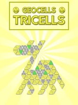 Geocells Tricells Image