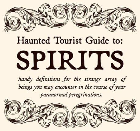 Haunted Tourist Guide to Spirits Game Cover