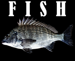 FISH Image