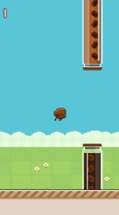 Flappy Beans Godot Engine Image