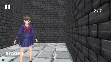 ３D迷路 女子高生をさがせ Image