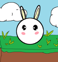 BunnyRoll Image