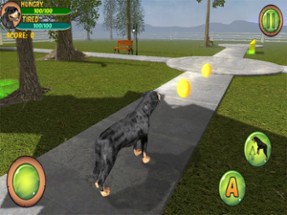 Rottweiler Dog Life Simulator Image