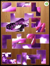 Jigtris Puzzle Image