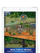 Archery Shoot Image