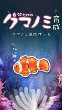 Clownfish Aquarium Image