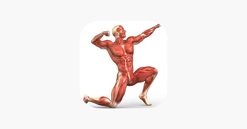 Human Muscular System Trivia Game Cover