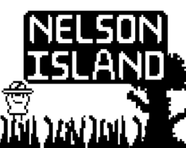 Nelson Island Image