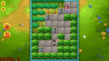 Push Puzzle: Rescue Adventure Image