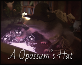A Opossum's Hat Image