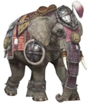 Jogo do elefante - RPG text Image