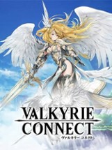 VALKYRIE CONNECT Image