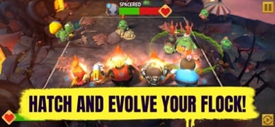 Angry Birds Evolution Image