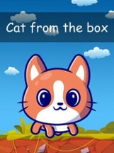 Cat from the box Image