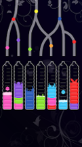 Water Sort: Color Puzzle Game Image