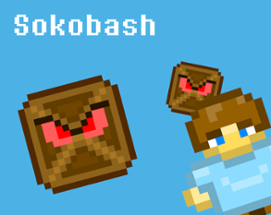 Sokobash Image