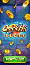 Quick Hit Slots - Vegas Casino Image