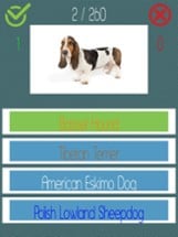 Dog Quiz  (250+ Breeds) Image