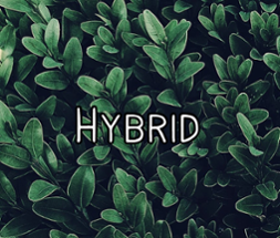 Hybrid Image