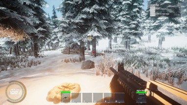 Winter Warfare: Survival Image