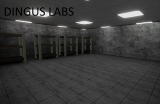 DingusLabs Image