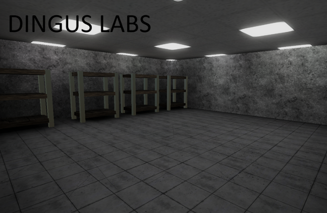 DingusLabs Game Cover