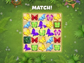 Butterfly Garden Mystery Match Image