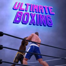 Ultimate Boxing Image