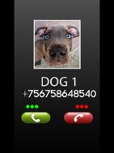 Fake Call Dog Prank Image
